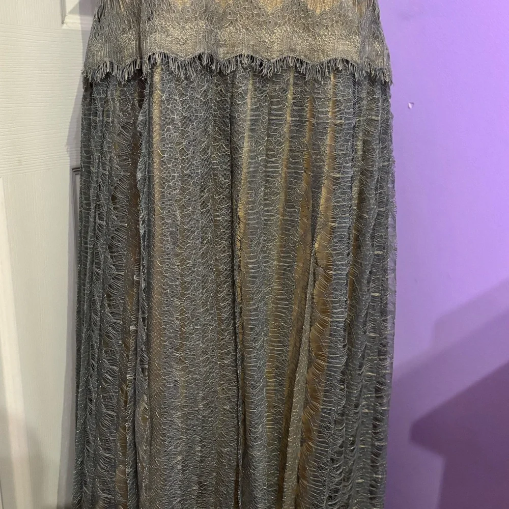 Tadashi Shoji Silver Nude Gown - Picture 3 of 10